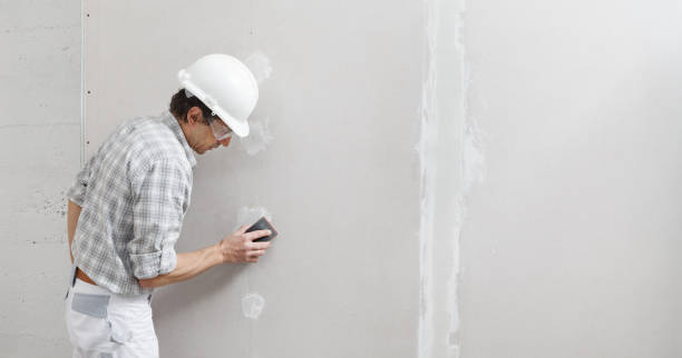 Best Fire-Damaged Drywall Repair  in Galena Park, TX